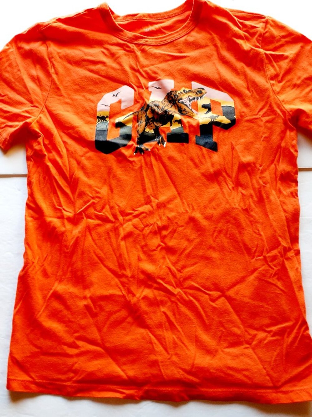 Gap Boys T-Shirt Dinosaur Orange Short Sleeve Logo XXL 14-16